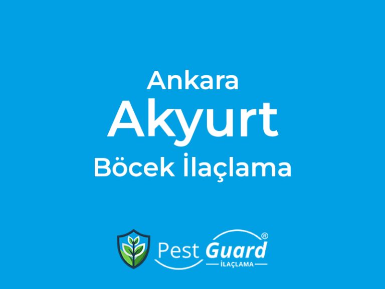 Ankara Akyurt Böcek İlaçlama