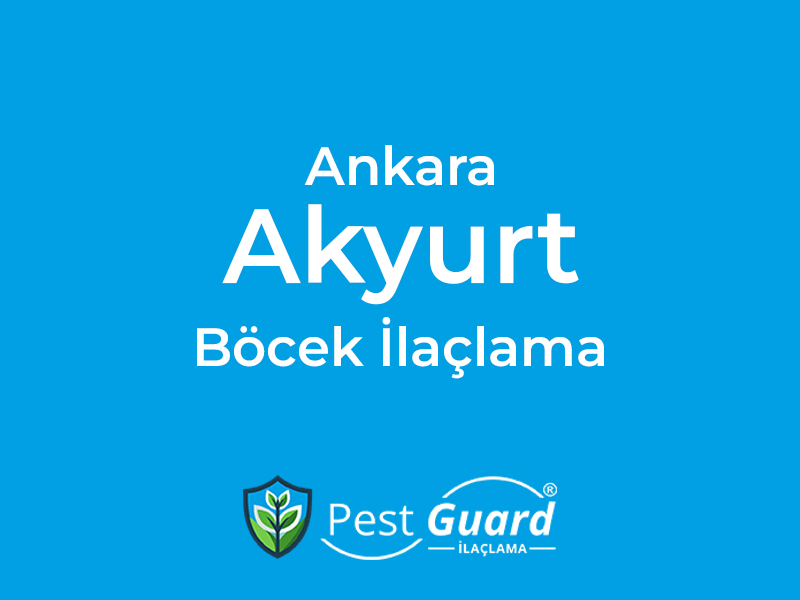 Ankara Akyurt Böcek İlaçlama