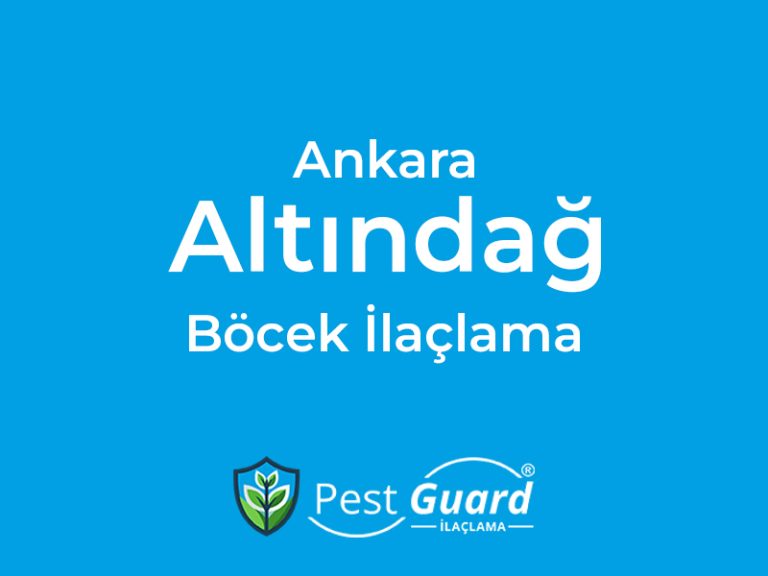 Ankara Altındağ Böcek İlaçlama