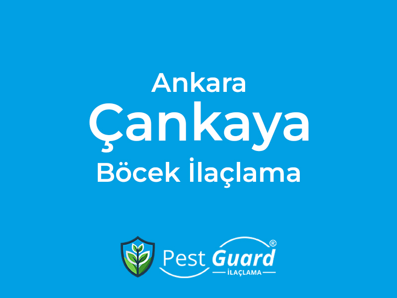 Ankara Çankaya Böcek İlaçlama