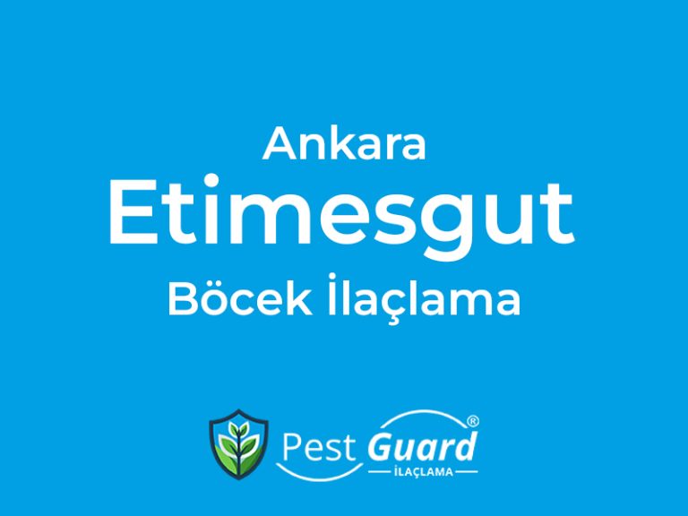 Ankara Etimesgut Böcek İlaçlama