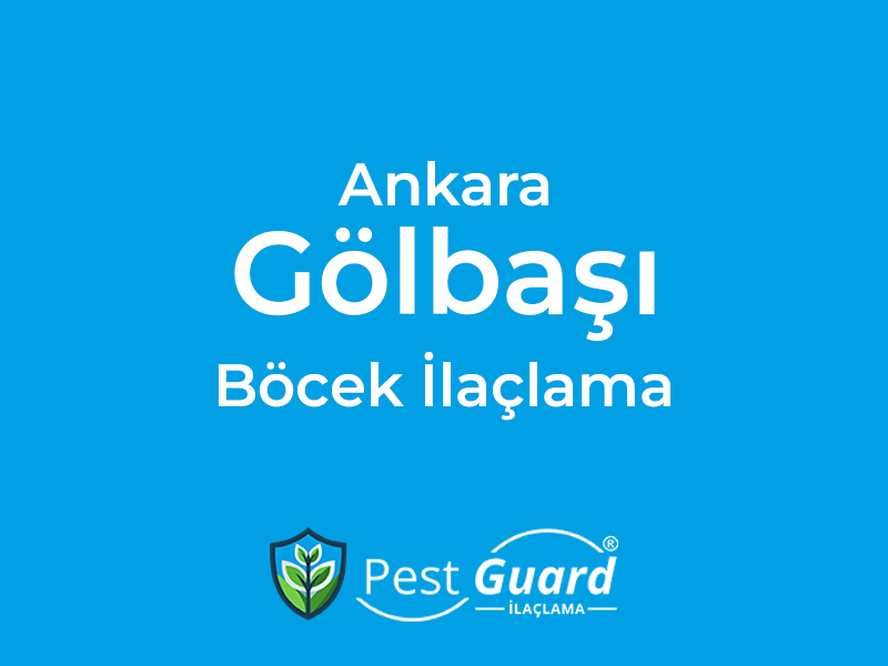 Ankara Gölbaşı Böcek İlaçlama