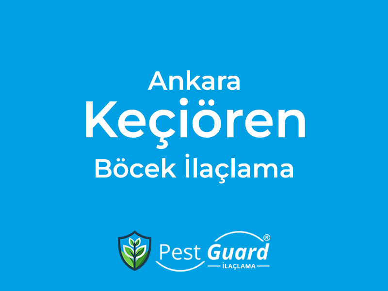 Ankara Keçiören Böcek İlaçlama