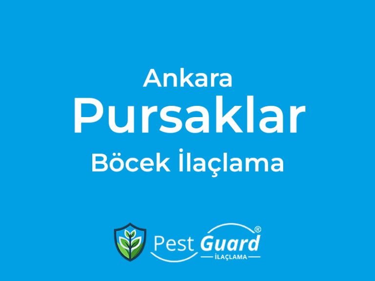 Ankara Pursaklar Böcek İlaçlama