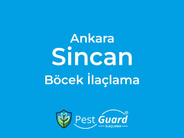 Ankara Sincan Böcek İlaçlama