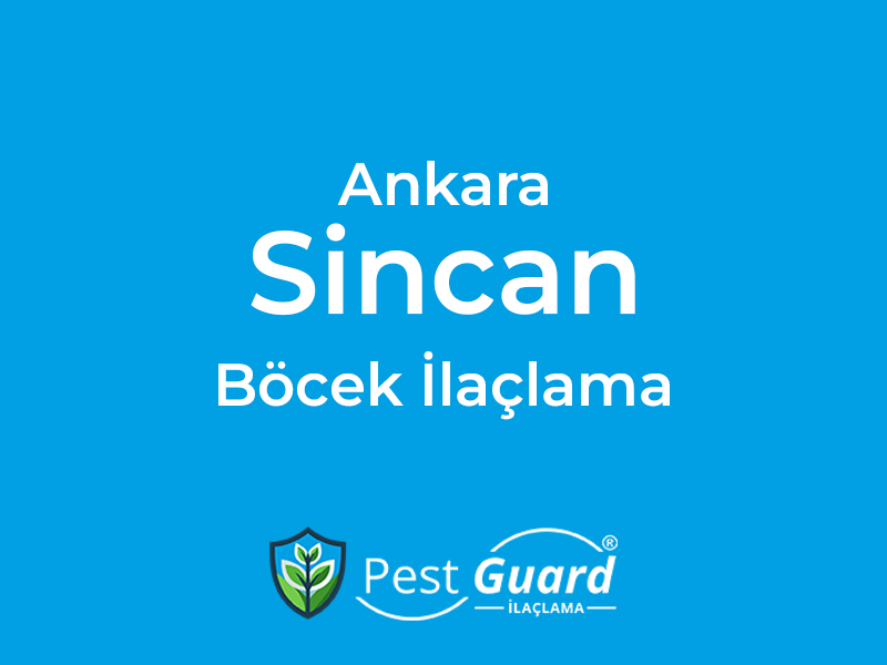 Ankara Sincan Böcek İlaçlama
